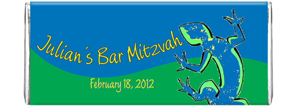 Newlizzardbarmitzvah front silver